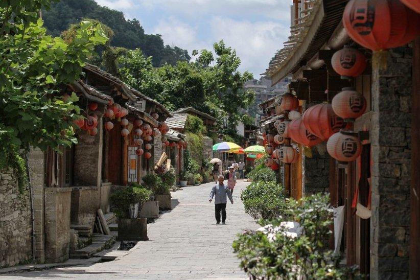 逃离白鸽之森